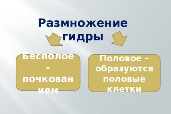 Блекспрут нет bs2web top