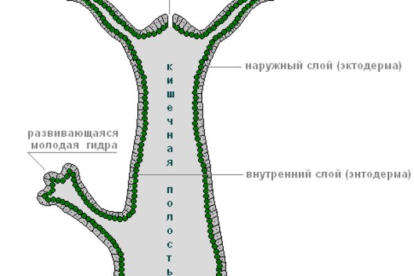 Рабочая blacksprut на сегодня клаб