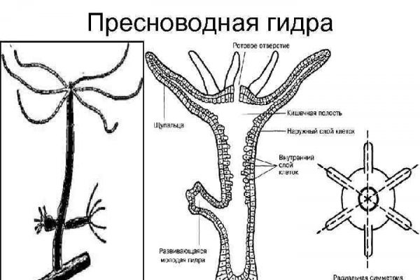 Блэкспрут актуальная ссылка bs2onion org